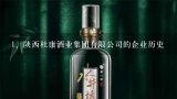 陕西杜康酒业集团有限公司的企业历史,中国杜康酒厂在哪儿