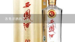 各类洋酒的名字