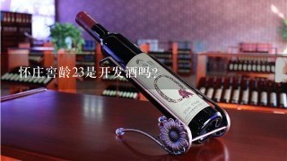 怀庄窖龄23是开发酒吗？