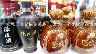 虞城玉米受损免丢芯。 作为一个小代理商该怎么办？ 有什么好的办法吗？