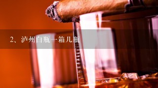 泸州白瓶一箱几瓶