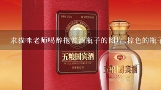 求猫咪老师喝醉抱着酒瓶子的图片,棕色的瓶子!