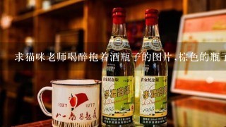 求猫咪老师喝醉抱着酒瓶子的图片,棕色的瓶子!