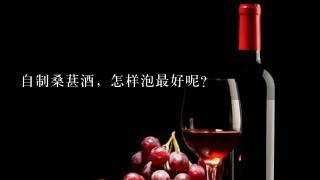 自制桑葚酒，怎样泡最好呢？