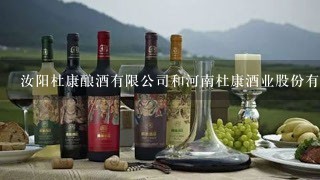 汝阳杜康酿酒有限公司和河南杜康酒业股份有限公司有关系吗？