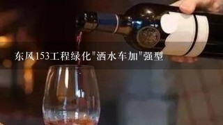 东风153工程绿化