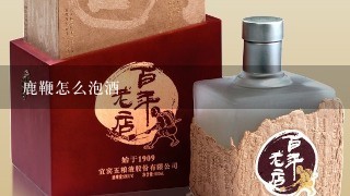 鹿鞭怎么泡酒