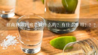 招商网站到底是做什么的？有什么作用？？？