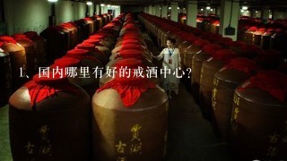 国内哪里有好的戒酒中心？