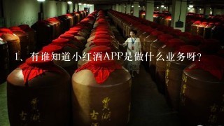 有谁知道小红酒APP是做什么业务呀？