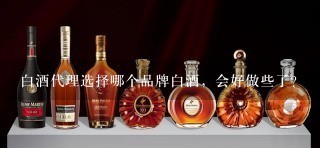 白酒代理选择哪个品牌白酒，会好做些了？