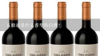 五粮液是什么香型的白酒？