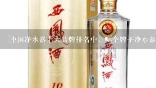 中国净水器十大品牌排名中，哪个牌子净水器口碑最好？