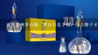 说到贵州茅台酒，茅台只是个镇，什么牌子才算是茅台酒？