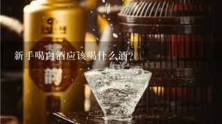 新手喝白酒应该喝什么酒?