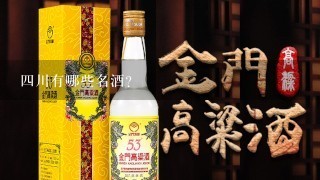 四川有哪些名酒？