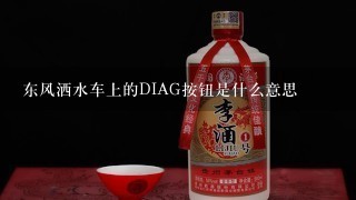 东风洒水车上的DIAG按钮是什么意思