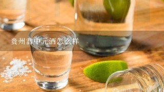 贵州君中元酒怎么样