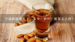 宇通新能源车子、多少一辆的？质量怎么样？