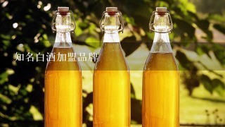 知名白酒加盟品牌