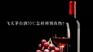 飞天茅台酒53℃怎样辨别真伪？