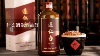 什么酒泡酒最好