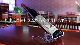 图中这些酒杯从左到右分别是什么酒杯？