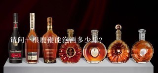 请问一根鹿鞭能泡酒多少斤？