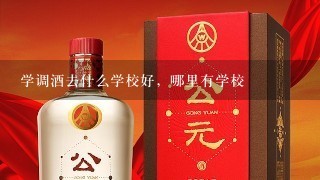 学调酒去什么学校好，哪里有学校