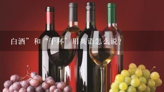 白酒”和“干杯”用英语怎么说？