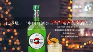 以下属于“中国白酒金三角”所产的名酒的是?