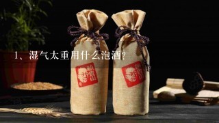 湿气太重用什么泡酒？