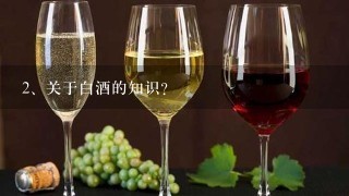 关于白酒的知识?