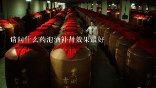 请问什么药泡酒补肾效果最好