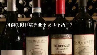 河南汝阳杜康酒业下设几个酒厂？