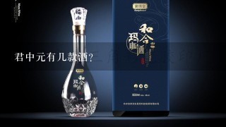 君中元有几款酒?