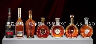 想送领导一瓶洋酒，马爹利XO or 人头马XO or 轩尼诗XO or