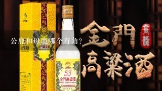 公鹿和母鹿哪个有角？