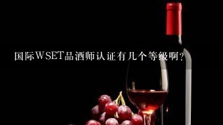 国际WSET品酒师认证有几个等级啊？