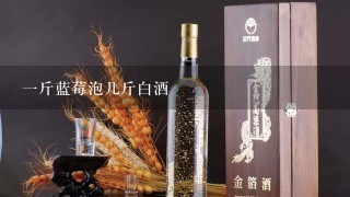 一斤蓝莓泡几斤白酒