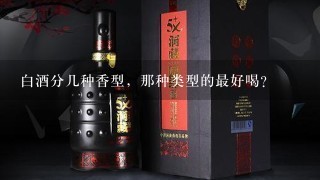 白酒分几种香型，那种类型的最好喝？