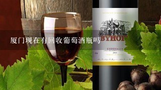 厦门现在有回收葡萄酒瓶吗