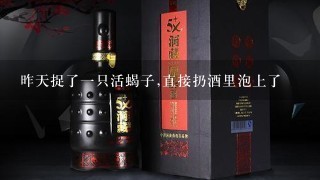 昨天捉了一只活蝎子,直接扔酒里泡上了