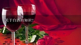 关于白酒的知识?