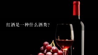 红酒是一种什么酒类？