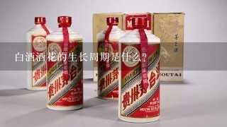 白酒酒花的生长周期是什么?