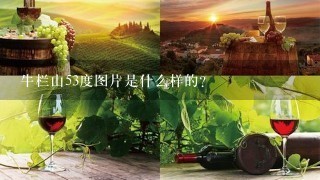 牛栏山53度图片是什么样的?