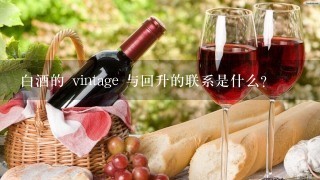 白酒的 vintage 与回升的联系是什么?